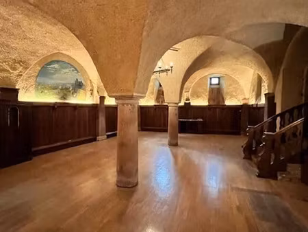 vente locaux professionnels 172 m² à wintzenheim (68920)  120 000 €