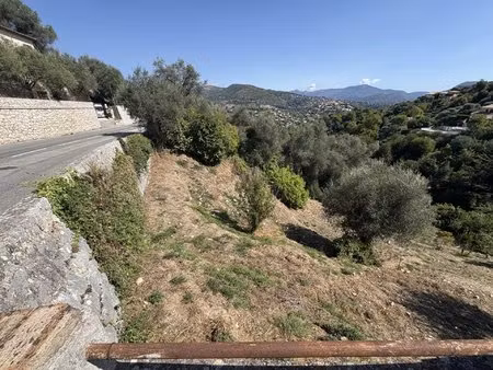 falicon terrain avec permis purgé