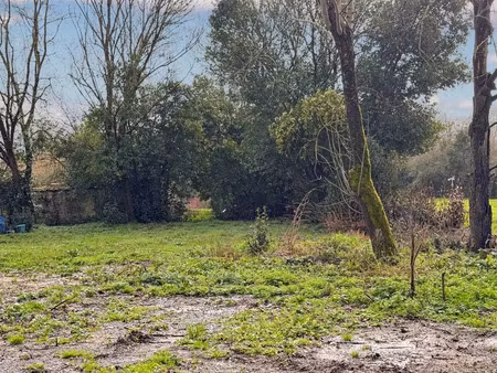 vente terrain 398 m² à saint-georges-du-bois (17700)  36 000 €
