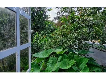 location appartement  m² t-3 à rivière-pilote  795 €