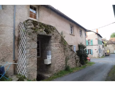 vente immeuble 12 pièces 245 m² à la tagnière (71190)  150 000 €