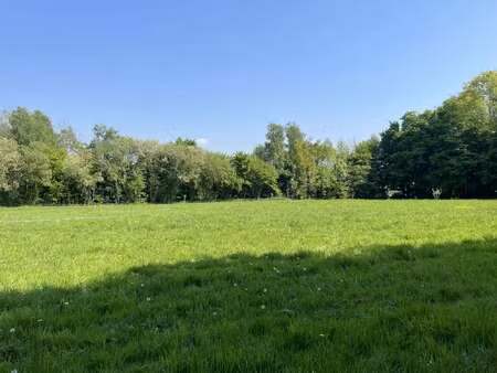 vente terrain à taupont (56800) : à vendre / 2380m² taupont