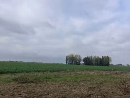 terrain à vendre esplechin