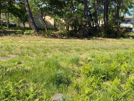 terrain de 710 m2 quartier calme