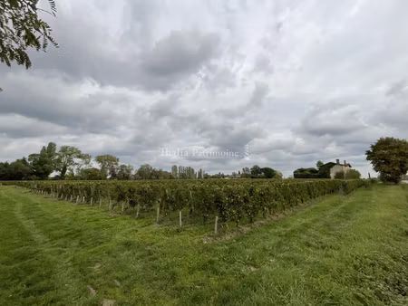 vente parcelle viticole entourée de grands crus