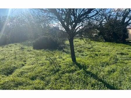 terrain tonnay-charente m² t- à vendre  120 000 €