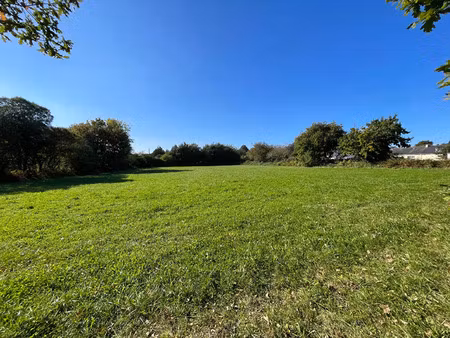 vente terrain à fouesnant (29170) : à vendre / 436m² fouesnant