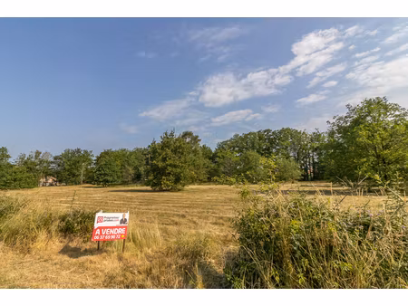 terrain la ferte imbault 3596 m2