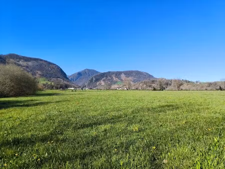 ferme béarnaise avec 15 ha