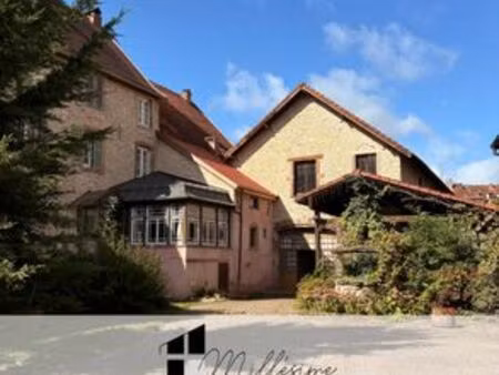 prestigieux immeuble de rapport en vente à fénétrange  grand est