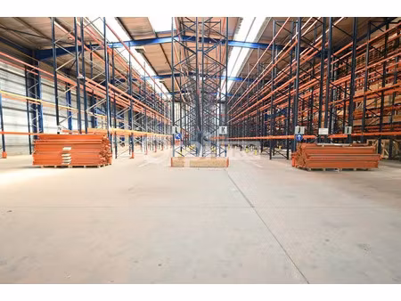 local d'activite a louer