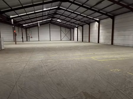 commercieel te huur in tessenderlo