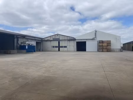 commercieel te huur in lo