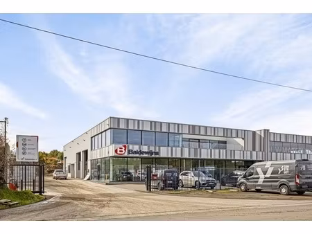 commercieel te huur in kuringen