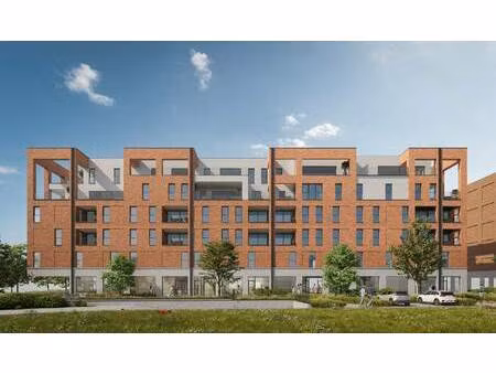 commercieel te koop in overpelt