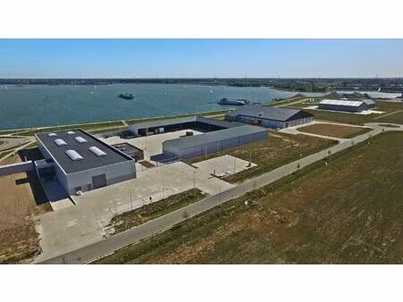 grond te koop in kinrooi