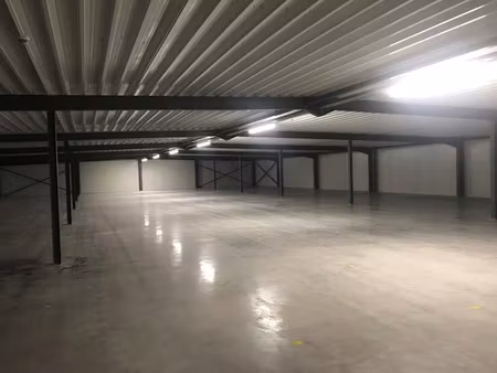 commercieel te huur in ardooie