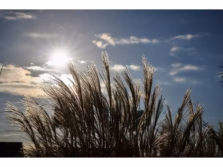 grond te koop in roeselare