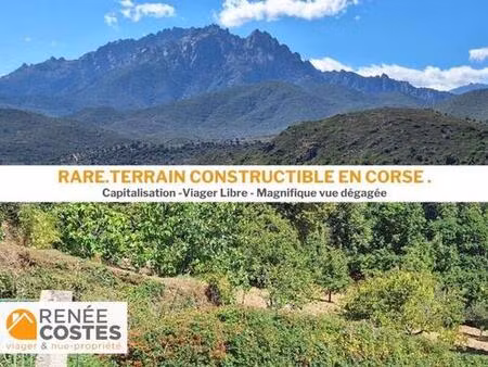 viager libre - f63 ans - corte (20250)