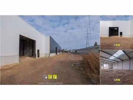 surface industrielle à vendre à gremelsloweg 4 maaseik (rbu51070)