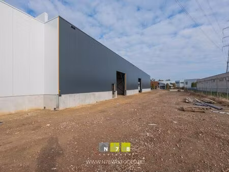 surface industrielle à vendre à gremelsloweg 4 maaseik (rbu51071)