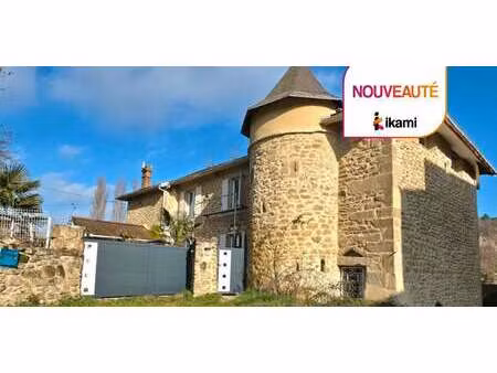 maison avec piscine et jardin peyrins (26)