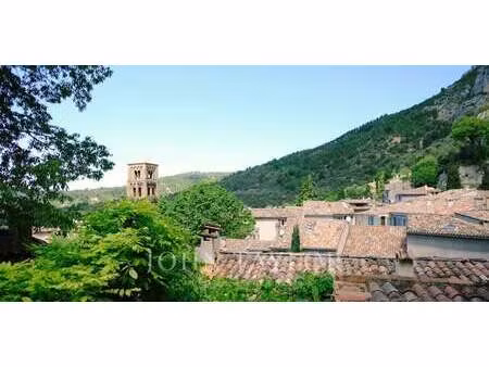 maison avec piscine moustiers-sainte-marie (04)