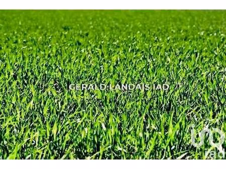 vente terrain à montgiscard (31450) : à vendre / 1610m² montgiscard