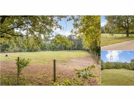 terrain agricole à vendre à lousbeekstraat genk (rbu51032)