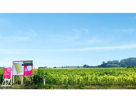 grond te koop in bilzen