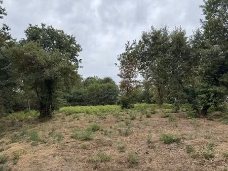 vente terrain 6200 m² damazan (47160)