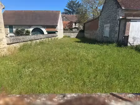 terrain
