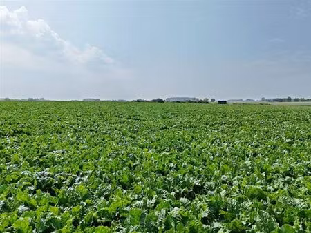 terrain à vendre à fexhe-le-haut-clocher € 413.360 (lfx3z) - comptoir foncier | zimmo