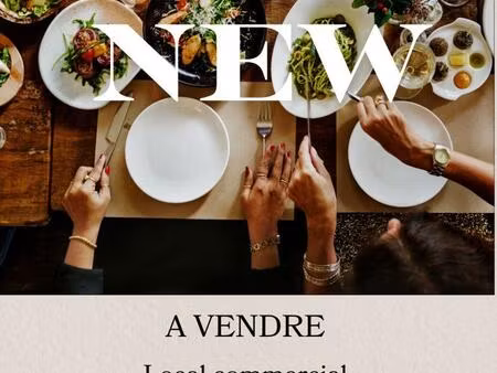 vente commerce 32 m² annecy (74960)