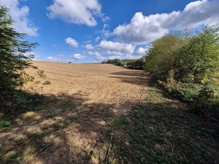 vente terrain 27658 m² à saint-aubin (40250)  25 000 €