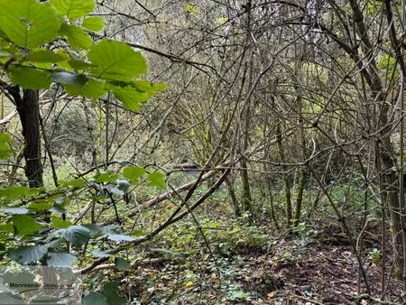 vente terrain 7150 m² péronne (80200)