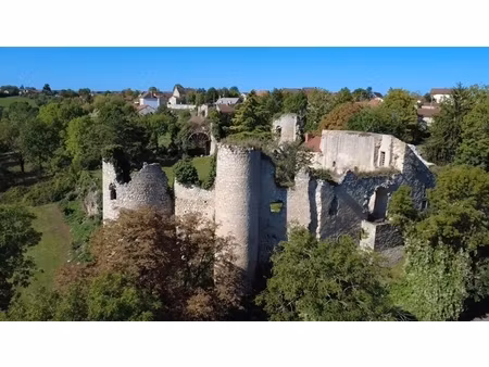 ruines majestueuses et son logis