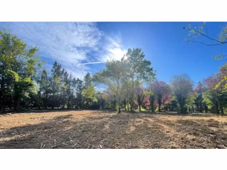 vente terrain 600 m² à labastide-beauvoir (31450)  120 000 €