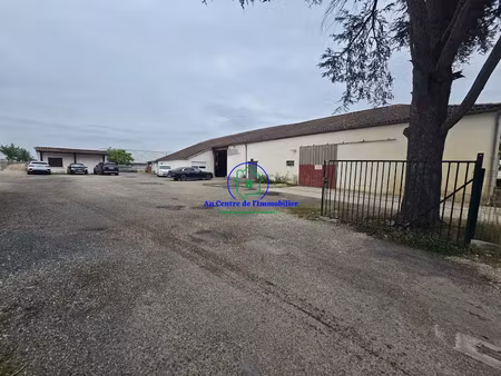 vente locaux professionnels 632 m² à brax (47310)  286 200 €