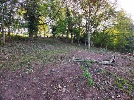 terrain constructible à vendre