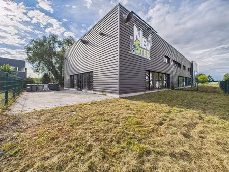 location locaux professionnels 293 m² à weyersheim (67720)  2 130 €