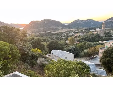 exclusivite:terrain à vendre à patrimonio (20)  vue mer