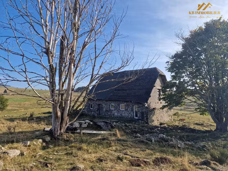 magnifique cadre verdoyant.