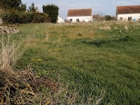 vente terrain poisvilliers