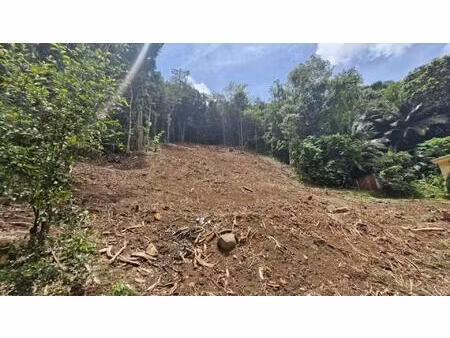 grand terrain de 1301m2 pour votre projet en accord avec la nature