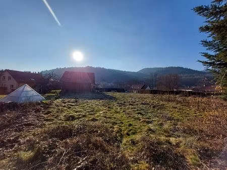 terrain constructible