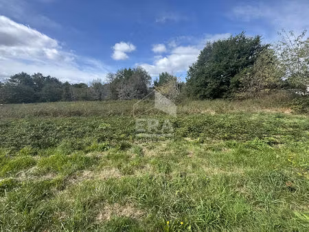 terrain constructible à vendre à saint laurent des hommes - 11631 m² montpon menesterol 24