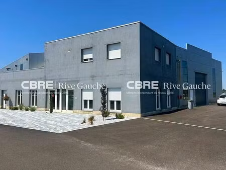 location local d'activités benfeld 800 m²