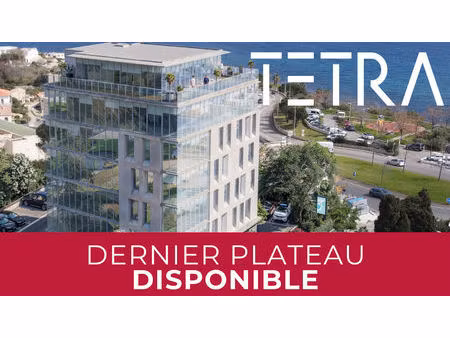 location bureau 1 pièce 70 m² à bastia (20200)