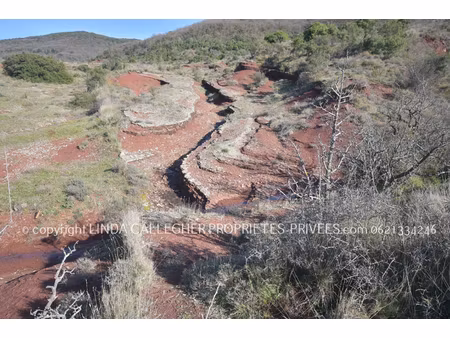 grand terrain non constructible à salasc
